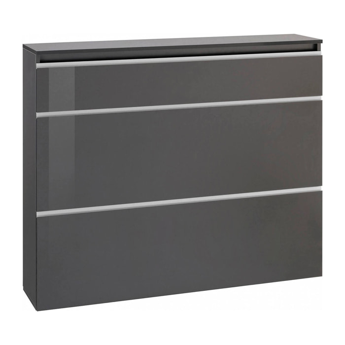 Scarpiera Amuri, Mobile multiuso a 2 ante e 1 anta a ribalta, Portascarpe da ingresso, 100% Made in Italy, cm 120x27h108, Antracite lucido