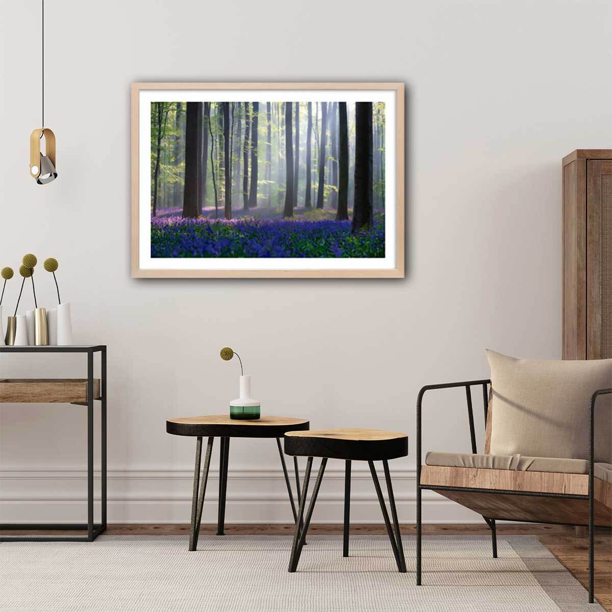 Affiche nature jacinthes et sous-bois Affiche + cadre en bois - Chêne