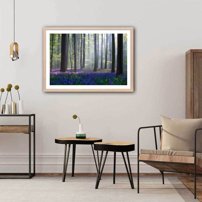 Affiche nature jacinthes et sous-bois Affiche + cadre en bois - Chêne