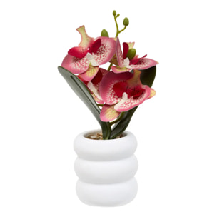 Fleur Artificielle Mick Orchidée H 23 cm