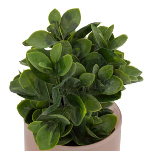 Plante artificielle en pot "Tayli" H18cm