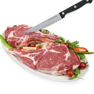 Lot de 4 Couteaux à steak Nirosta Mega 21 cm