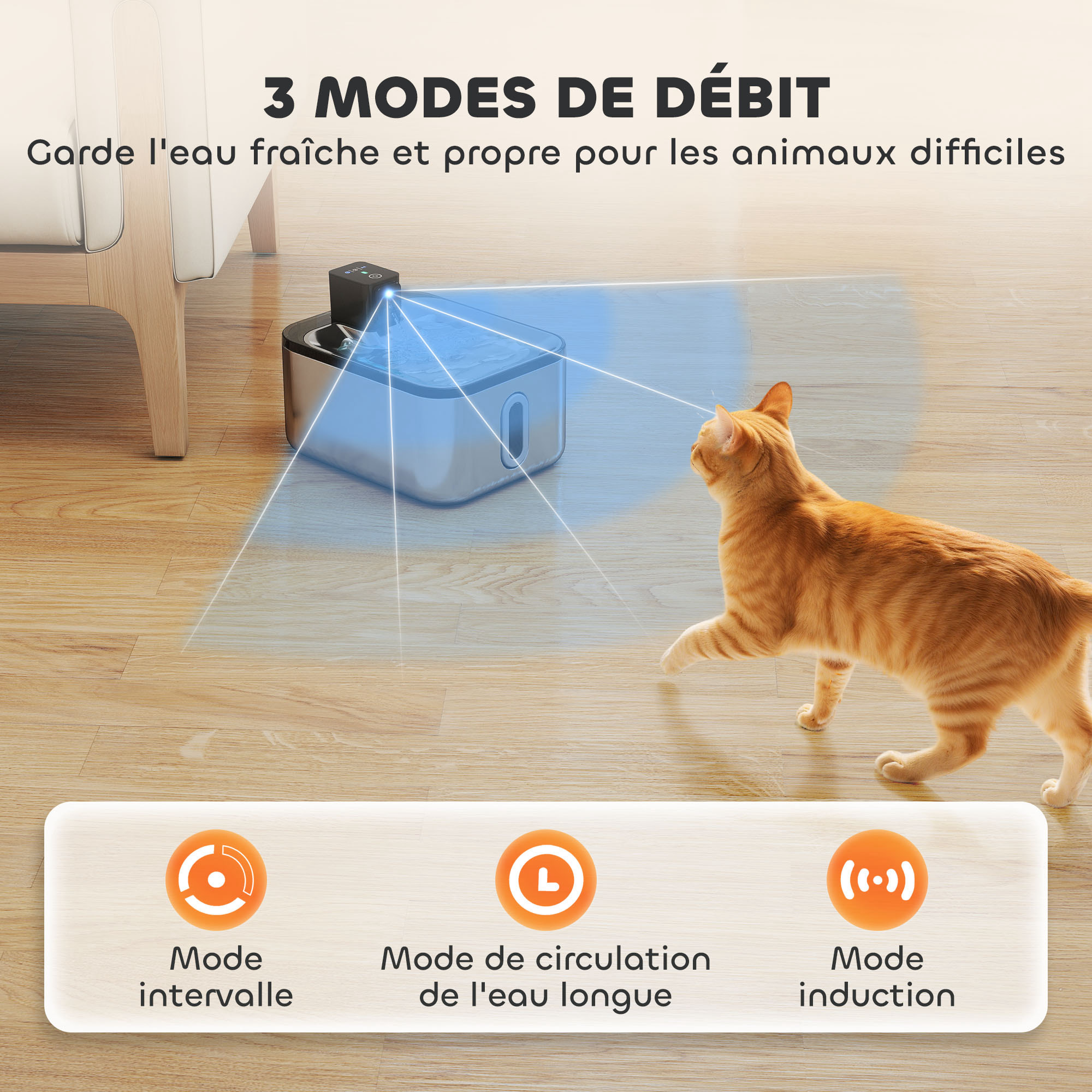 Fontaine à eau pour chat 5L filtration 3 étapes charge USB câble + nombreux accessoires inclus acier inox