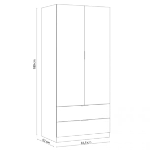 Armario Lark 2 Puertas 2 Cajones Blanco