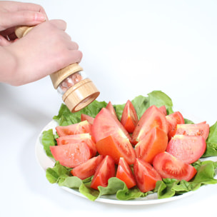 Moulin A Poivre Et Sel En Bois