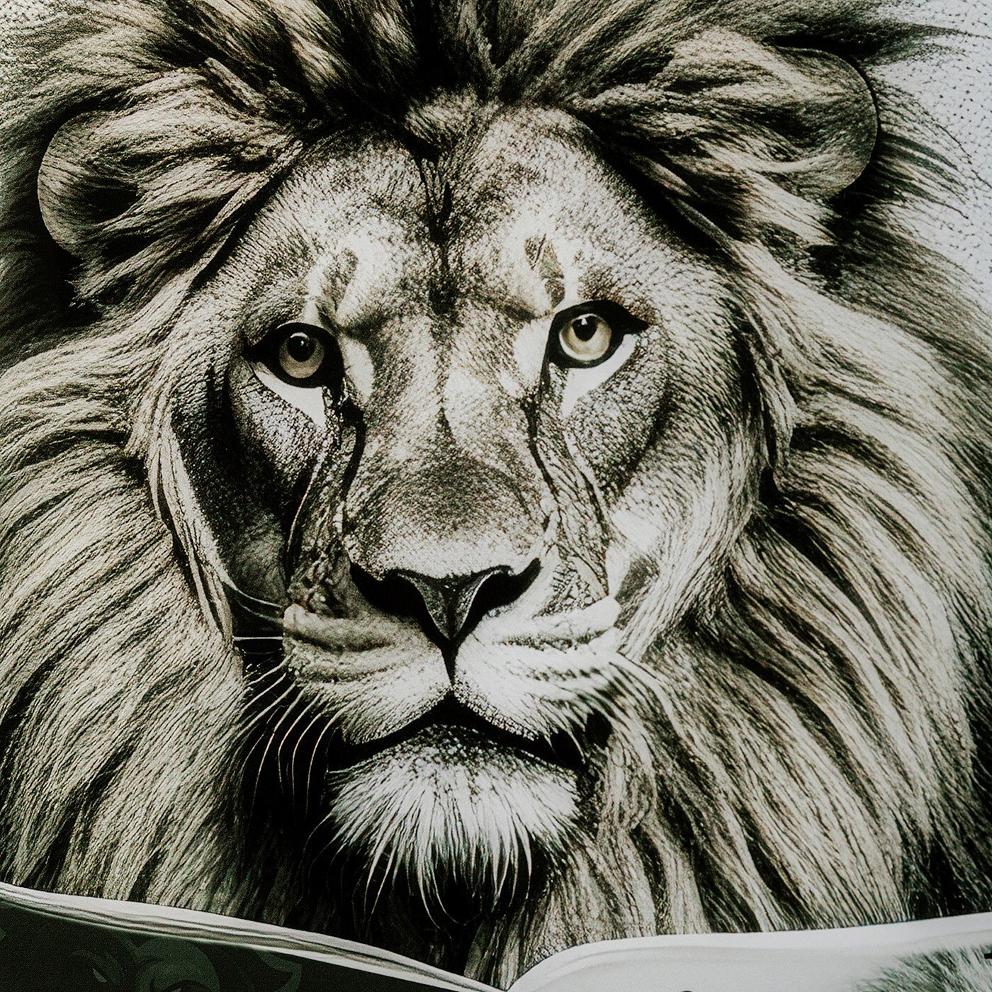 Tableau en verre lion journal 60x80cm Kare Design