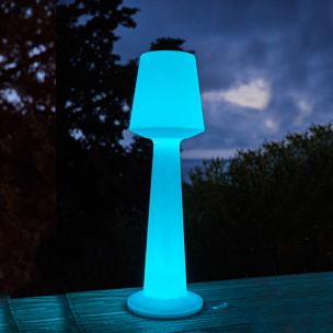 Lampadaire solaire AUSTRAL RGB H110CM