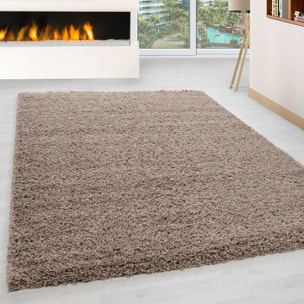 OTTAWA - Tapis shaggy uni Beige