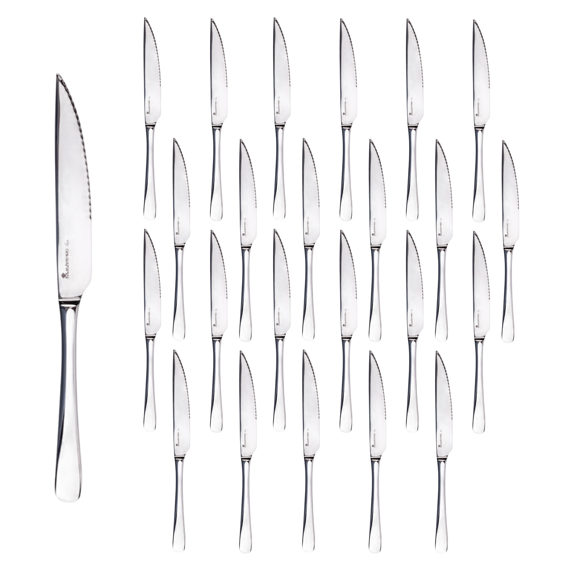 Set de 24 cuchillos de carne de acero inoxidable en acabado brillo foodies bergner
