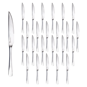 Set de 24 cuchillos de carne de acero inoxidable en acabado brillo foodies bergner