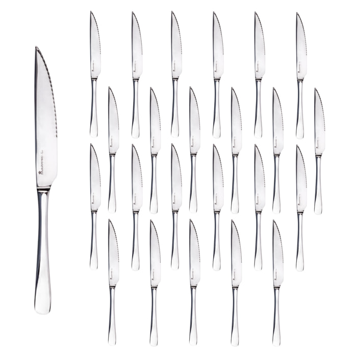 Set de 24 cuchillos de carne de acero inoxidable en acabado brillo foodies bergner