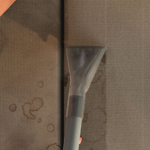 Aspirateur laveur THOMAS Pet & Family Aqua+ (788568)