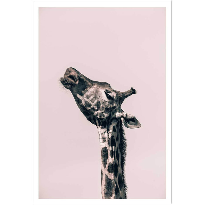 Affiche girafe ma reine Affiche seule