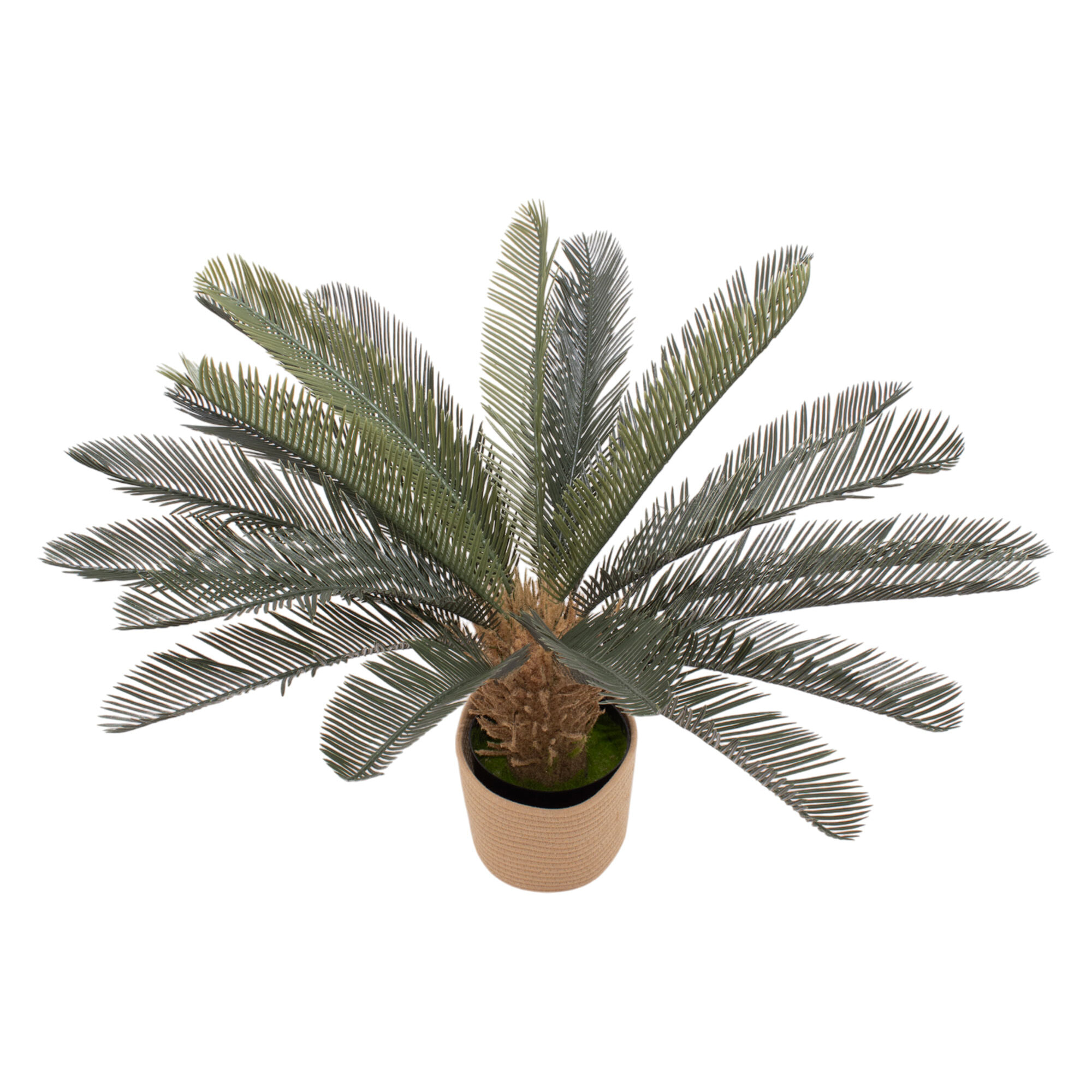Cycas 85 - Pianta Artificiale Decorativa Tropicale Cycas H85 cm per Interno Esterno con Vaso Beige