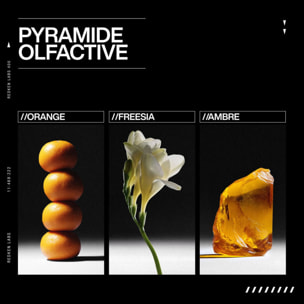 Acidic Bonding Concentrate - Baume Sans Rinçage Pointes Abîmées