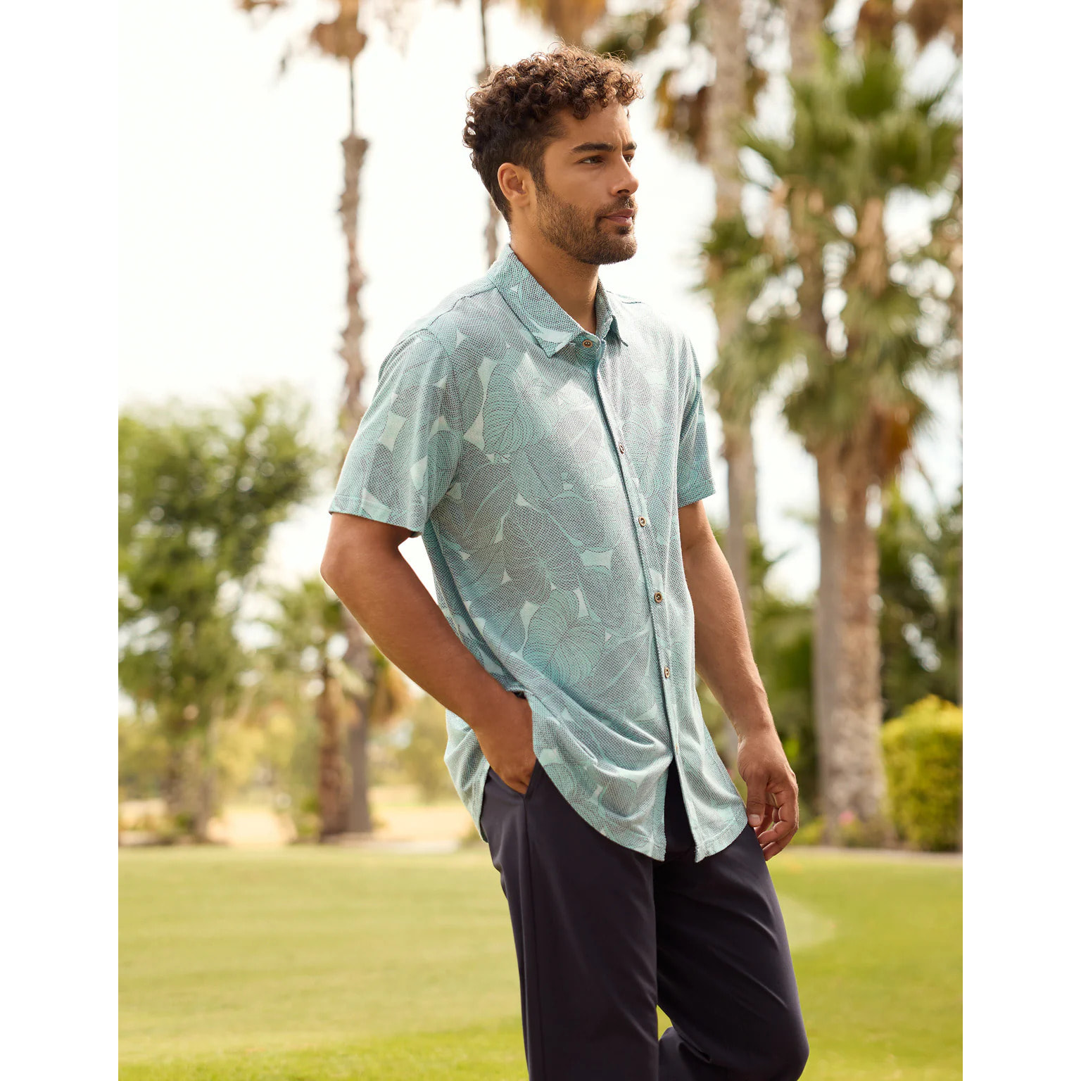 Camisa Manga Corta Verde - Folded