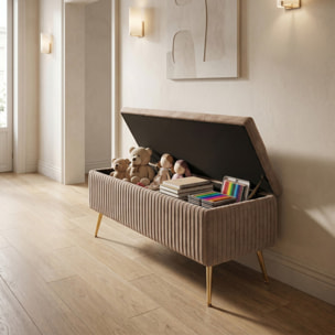Panca Contenitore in Effetto Velluto a Coste con Ampio Vano Contenitore, Seduta Imbottita e Gambe in Acciaio, Design Moderno per Camera da Letto, Ingresso e Soggiorno
