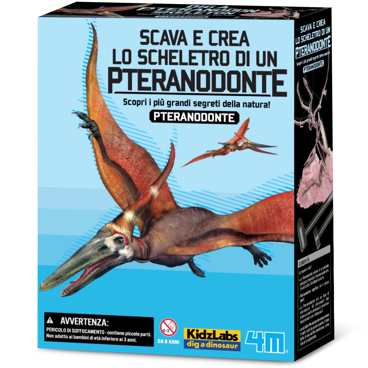 Scava e crea lo scheletro di un Pteranodonte