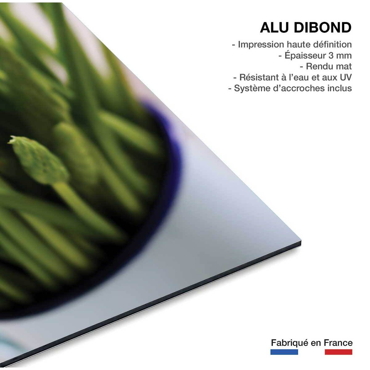 Tableau graine germée verte Tableau alu Dibond