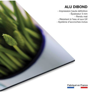 Tableau graine germée verte Tableau alu Dibond