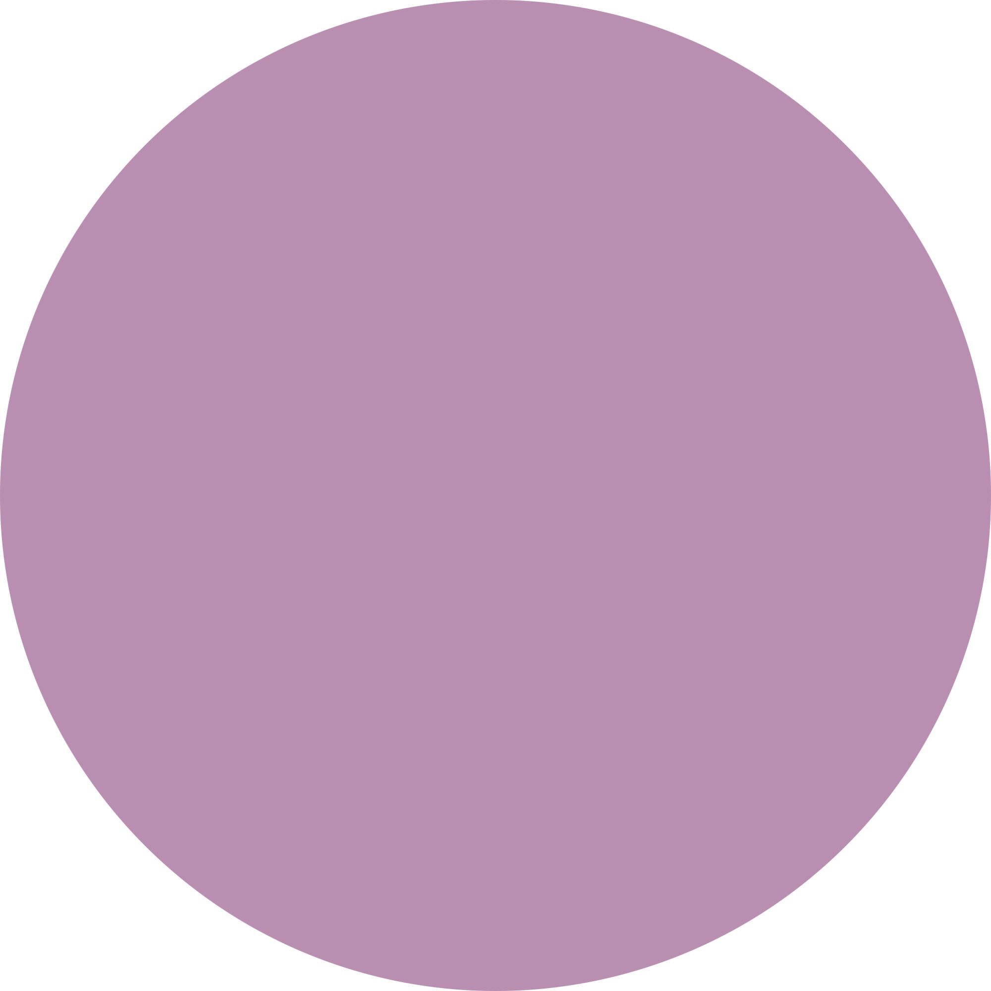 MATT NAIL LACQUER - SMALTO Smalto dal colore intenso e matt