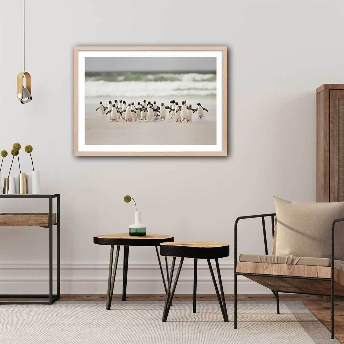 Affiche animaux pingouins Affiche + cadre en bois - Chêne