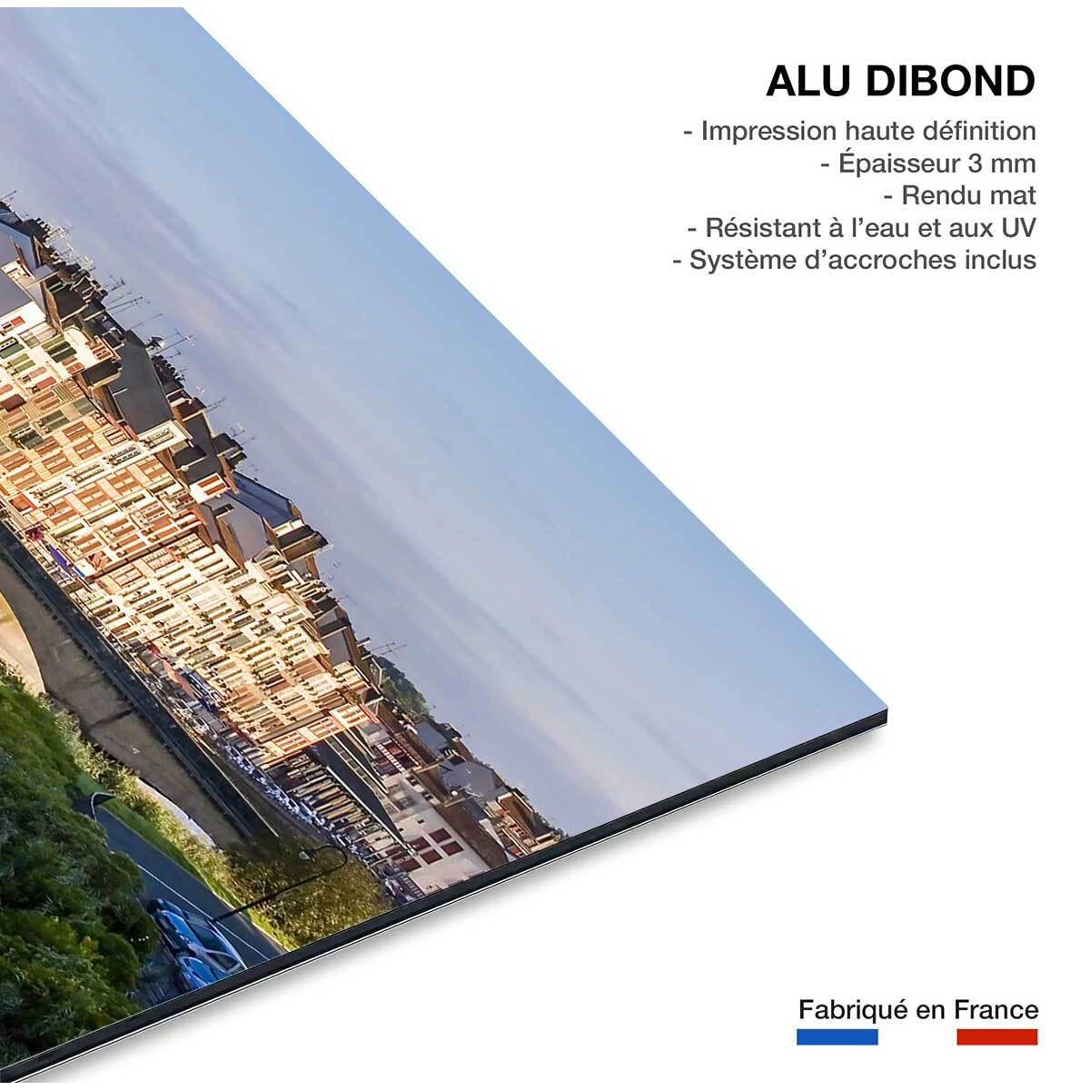 Tableau sud ouest bayonne et la nive  Tableau alu Dibond