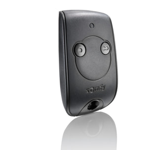 Télécommande Keytis 2 canaux RTS - Pour commander 2 moteurs RTS de portail et porte de garage