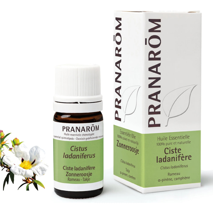 Pranarom - Huile Essentielle de Ciste ladanifère - 5 ml