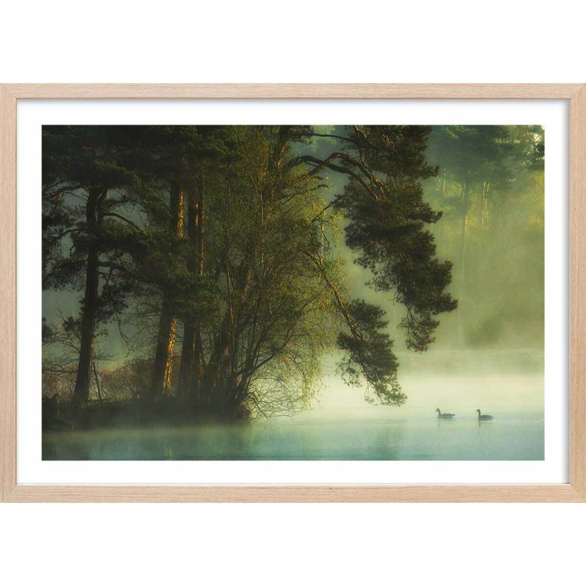 Affiche paysage marais neerlandais Affiche + cadre en bois - Chêne