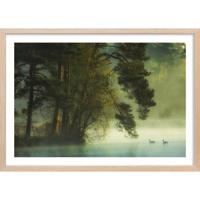 Affiche paysage marais neerlandais Affiche + cadre en bois - Chêne