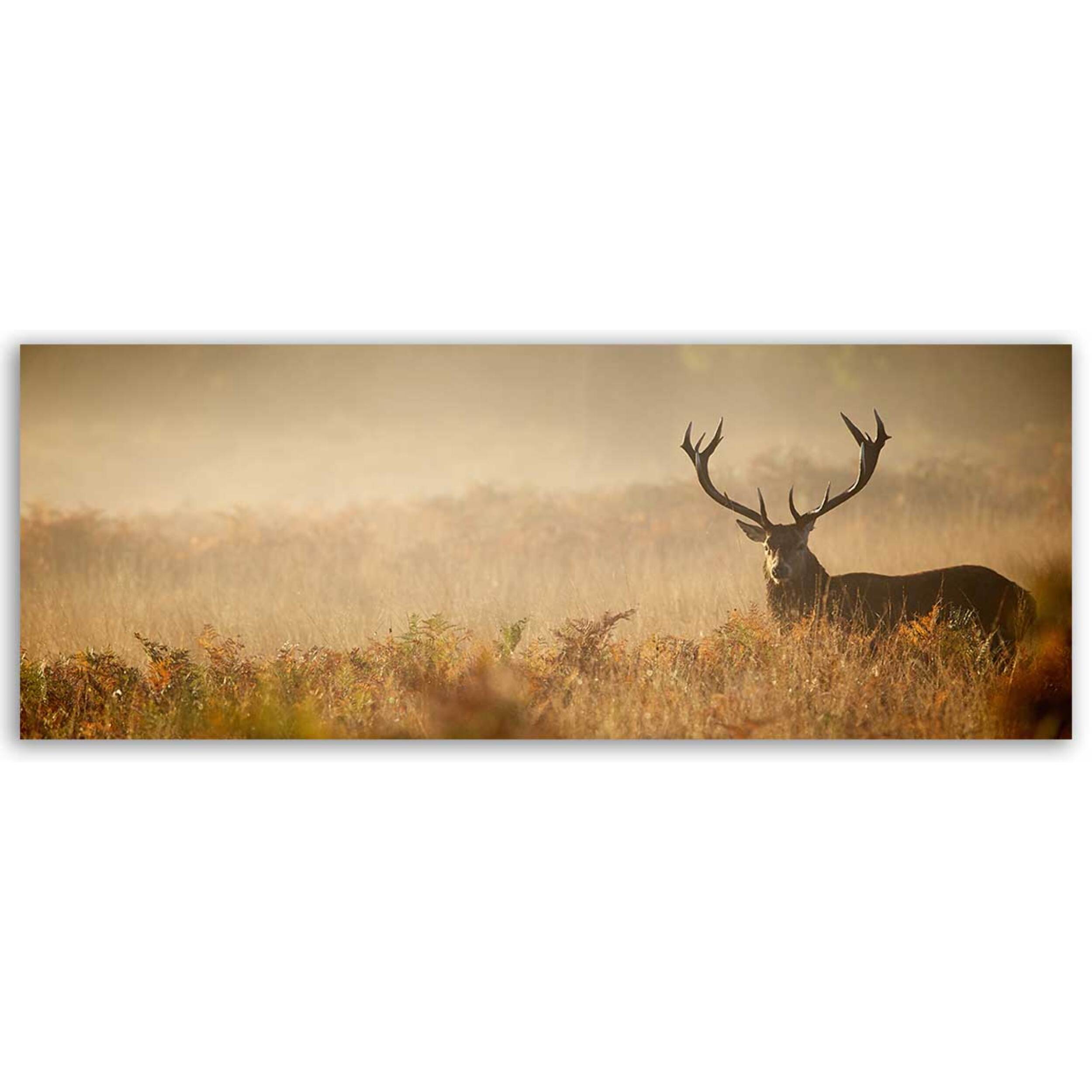 Tableau panoramique cerf majestueux dans la brume Toile imprimée
