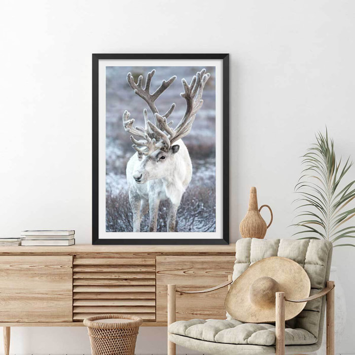 Affiche enfant parrot blanc  Affiche seule