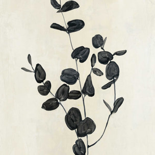 Affiche fleurs Black magic Affiche sous cadre bois