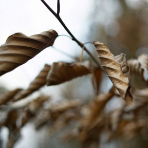 Housse de couette en popeline 120 fils Xaló
