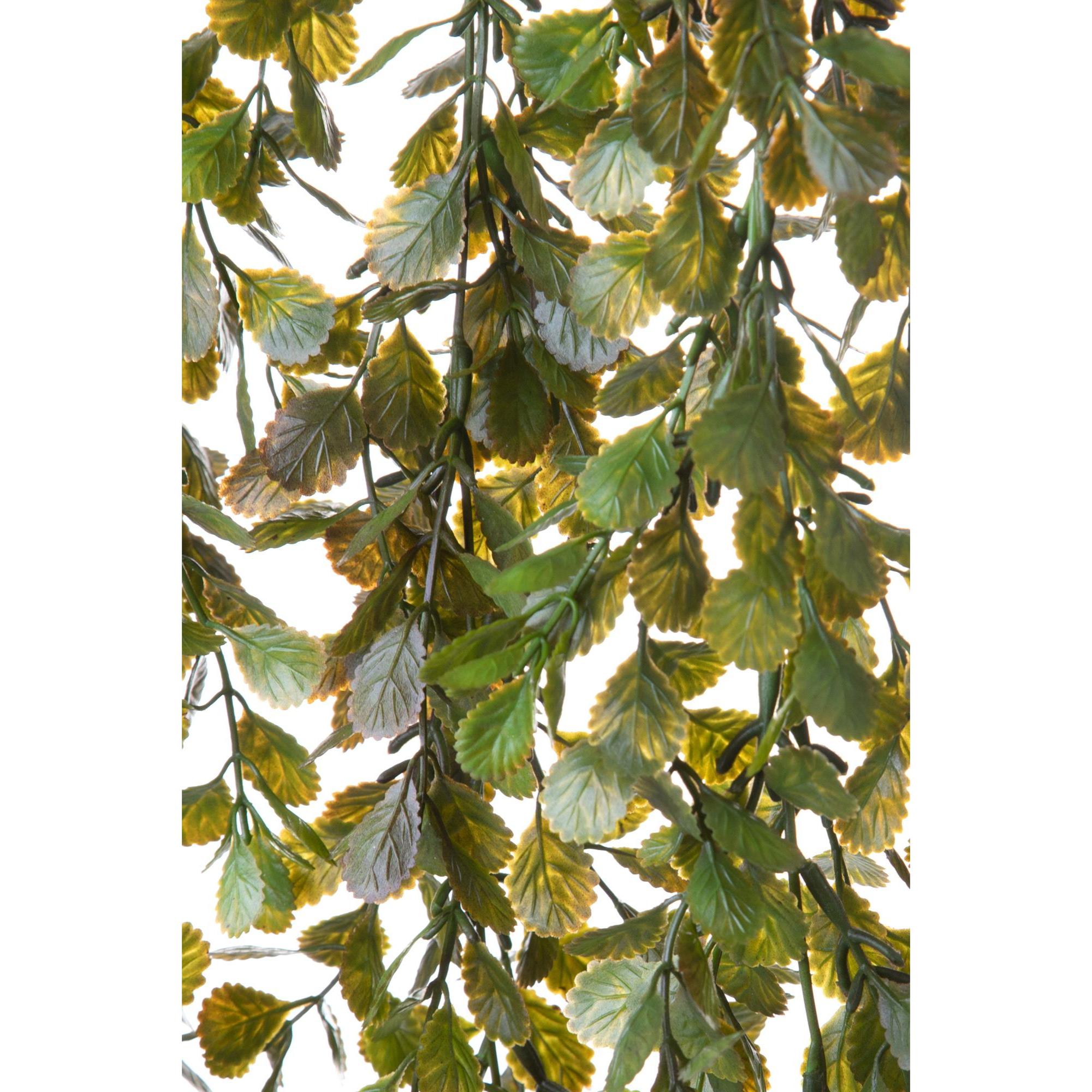 Callisia Cadente 80 Cm - Pezzi 6 - 20X80X20cm - Colore: Verde - Bianchi Dino - Piante Artificiali