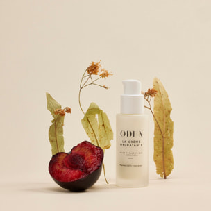 Crème Hydratante - Acide Hyaluronique et Ceramides