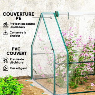 Mini serre tunnel de jardin fenêtres enroulables acier PE transparent