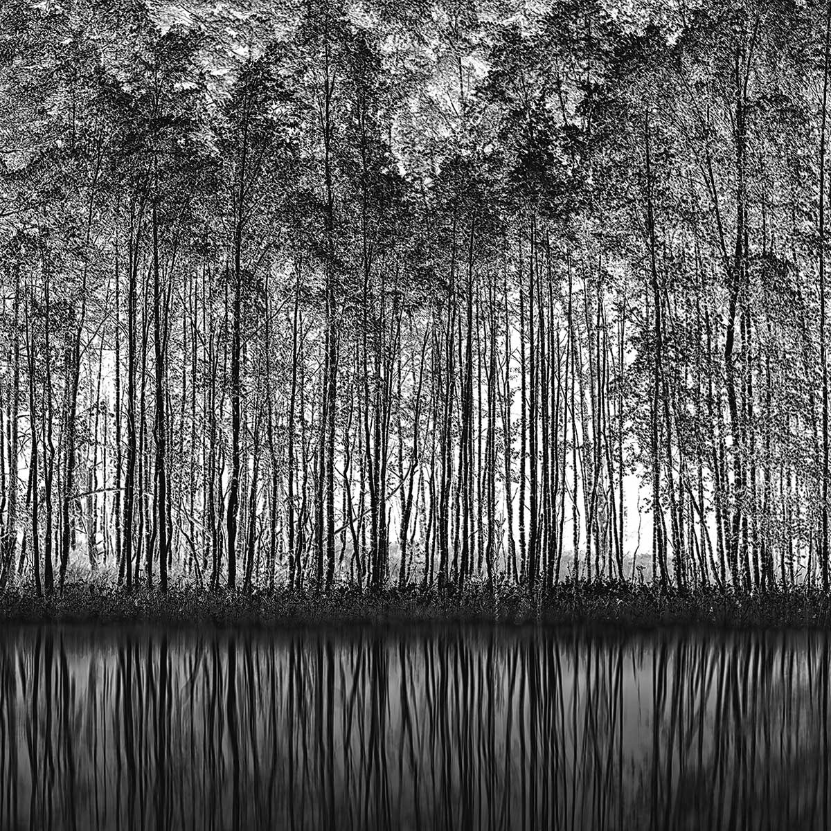 Affiche nature pointillisme Affiche + cadre en bois - Noir