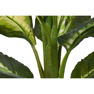 Planta Artificial Dieffenbachia Dotied 55x55x100 Cm