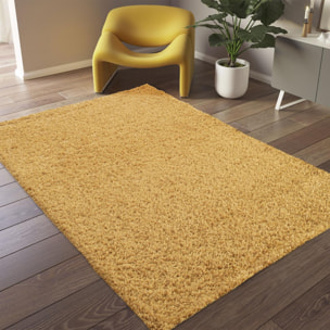 Tapis shaggy tissé motif uni HAGA