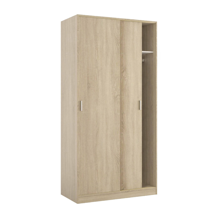 Guardaroba 2 ante Alt, Armadio per camera da letto, Mobile con ripiano e barra appendiabiti, 100x50h200 cm, Rovere