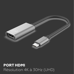 Adaptateur USB-C/HDMI MOBILITY LAB USB-C - HDMI 30HRZ GS