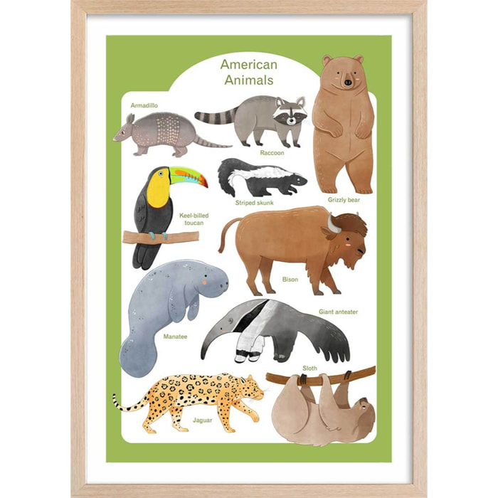 Affiche enfant animaux d'amérique  Affiche + cadre en bois - Chêne