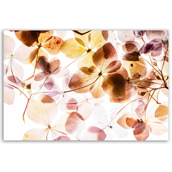 Tableau fleurs translucides pastel Toile imprimée