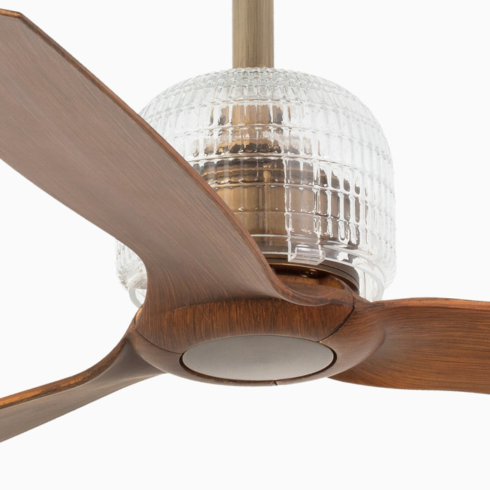 DECO FAN M Ventilador de techo oro/nogal