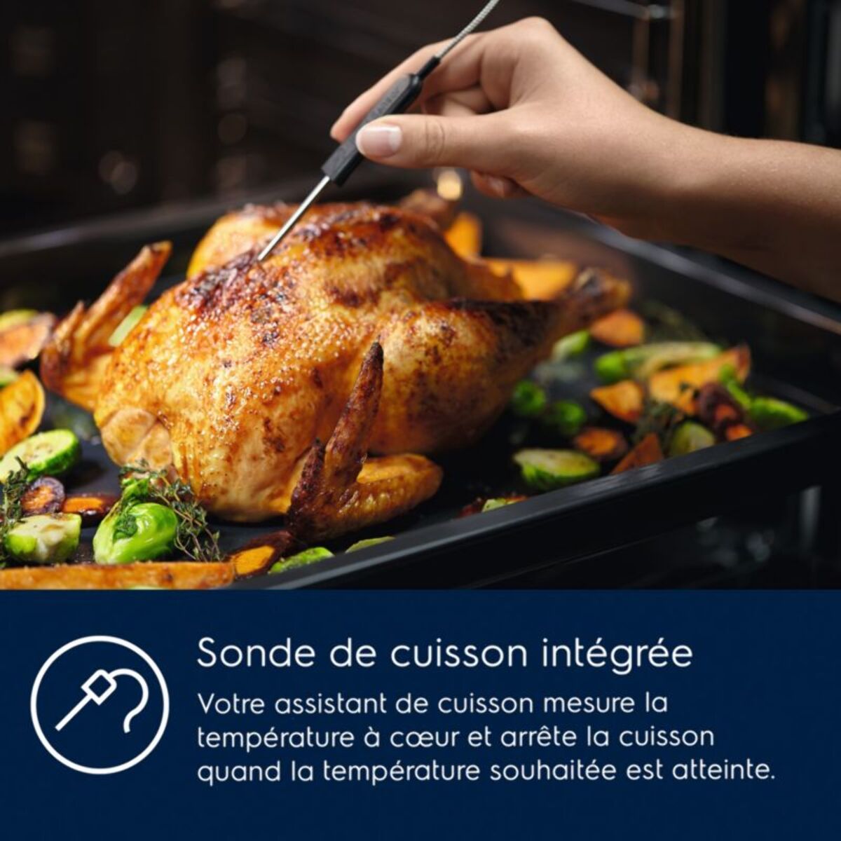 Four Pyro ELECTROLUX EOD6P67WH SteamBake