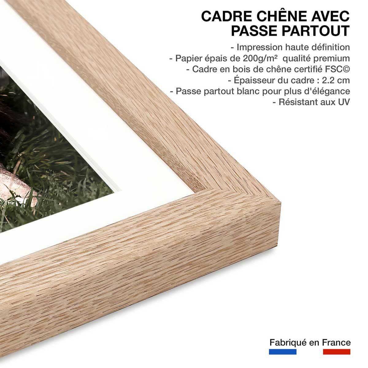 Affiche animaux pattes de lion Affiche + cadre en bois - Chêne