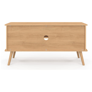 Meuble TV Faustine 2 portes L110cm