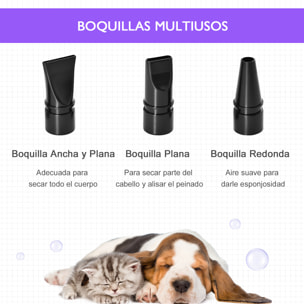 Secador de Pelo para Perros 2800W Secador para Mascotas con Temperatura y Velocidad del Viento Ajustable 3 Boquillas Tubo Flexible 2,1 m y Asa Portátil 40x16x20 cm Negro y Púrpura